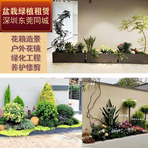 綠意盎然的鵬城與莞城 專業(yè)戶外綠化工程與植物租賃服務(wù)全解析
